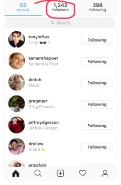 Your Recent Followers on Instagram