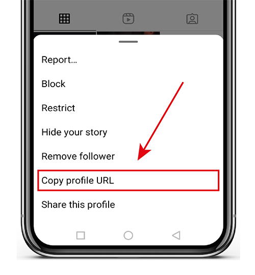 Share IG profile via link